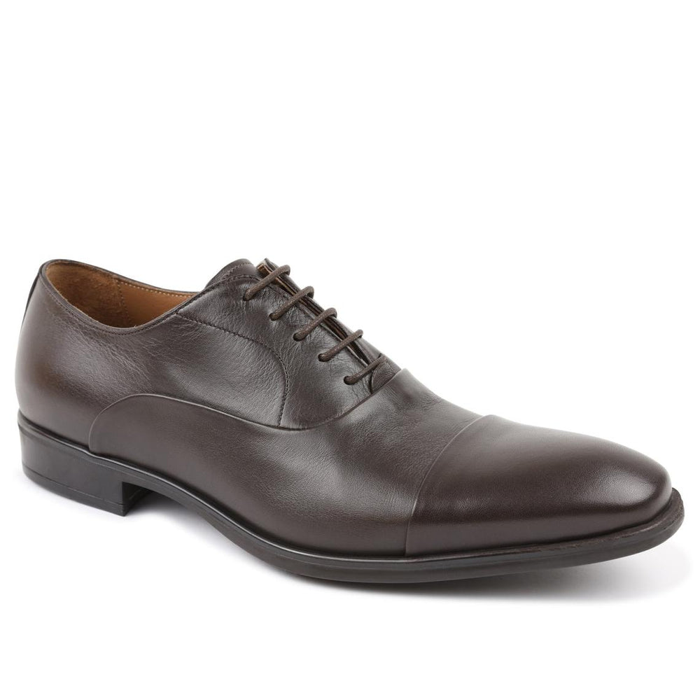 Bruno Magli Dress Shoes | Men Locascio Cap-Toe Oxford - Dark Brown