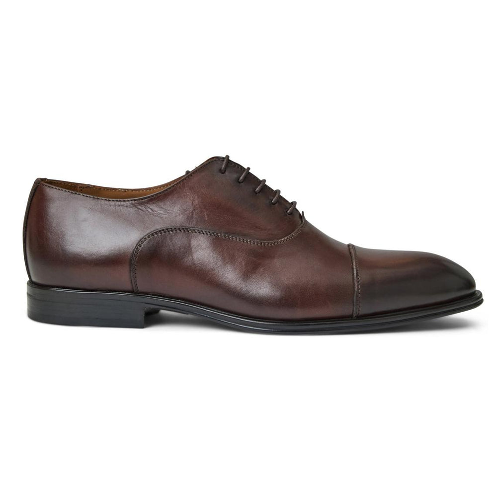 Bruno Magli Lace-ups &amp; Oxfords | Men ADRIANO-BROWN