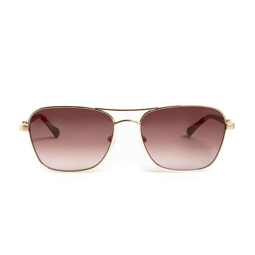 Bruno Magli Sunglasses | Men Playa Aviator Sunglasses - Gold Tortoise