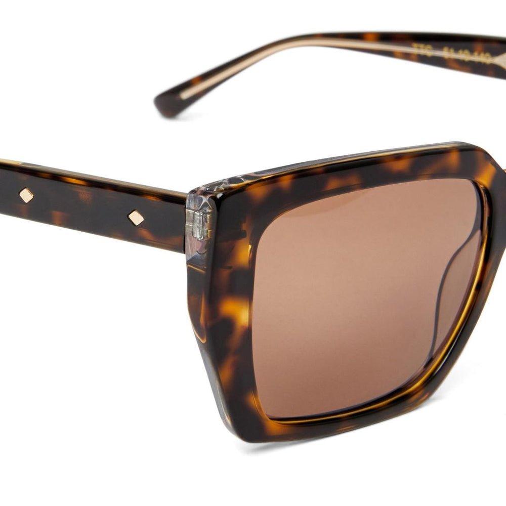 Bruno Magli Sunglasses | Men Ricci Sunglasses Tortoise