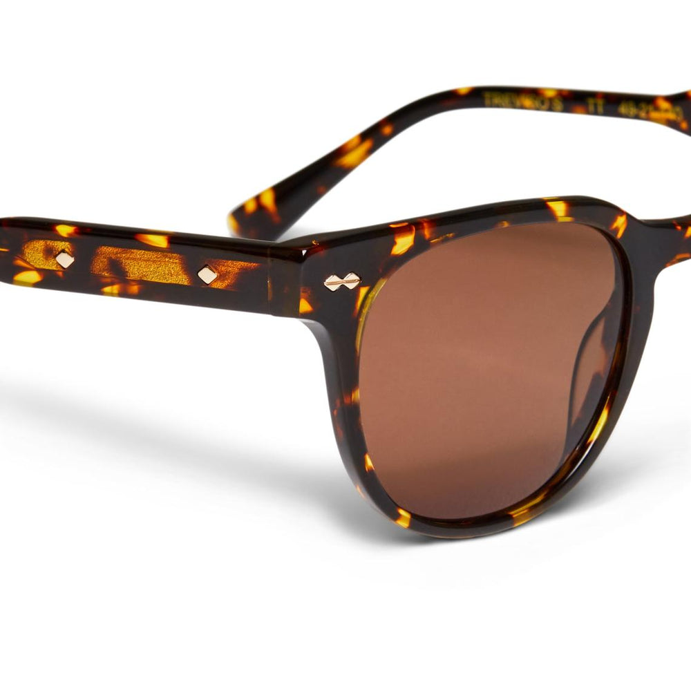Bruno Magli Sunglasses | Men Treviso Sunglasses Tortoise