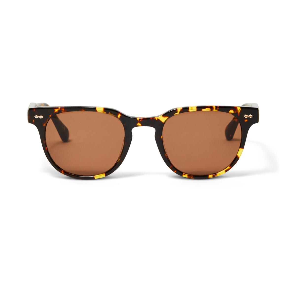 Bruno Magli Sunglasses | Men Treviso Sunglasses Tortoise
