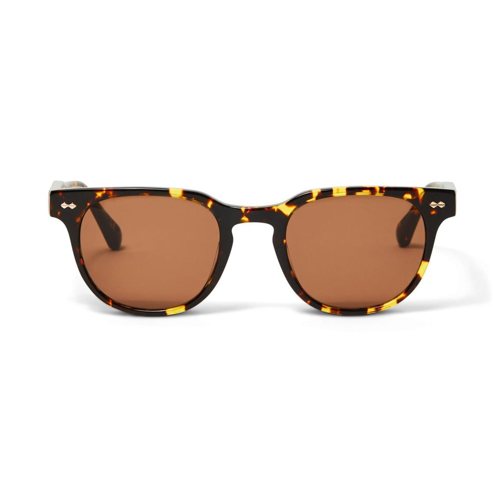 Bruno Magli Sunglasses | Men Treviso Sunglasses Tortoise
