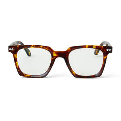 Bruno Magli Sunglasses | Women Alberto Sunglasses TORTOISE