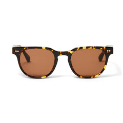 Bruno Magli Sunglasses | Women Treviso Sunglasses Tortoise
